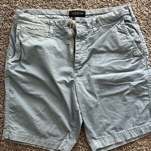 American Eagle Outfitters Blue Flat Front Shorts
